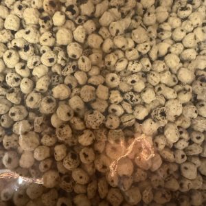 Tijgernoten wit droog 12 tot 15mm rond, 5 kilo zak.